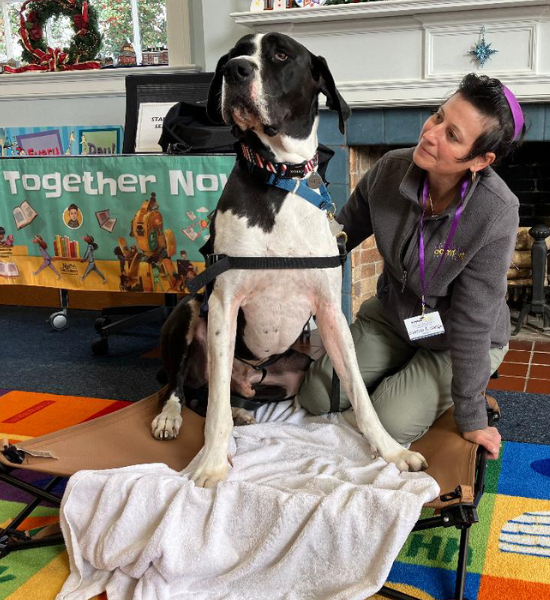 A large black and white dog sits on a dog bed. A woman sits beside to the dog and looks at its face.